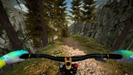 MTB Downhill Simulator (2016)