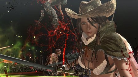 Onechanbara Z2: Chaos (2016)