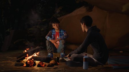 Life Is Strange 2: Complete Season