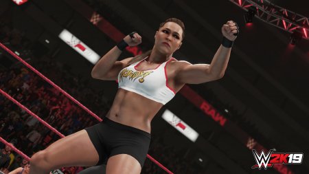 WWE 2K19 (2018) PC | 