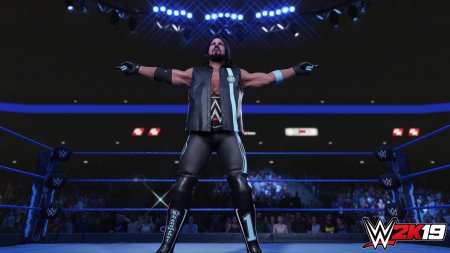 WWE 2K19 (2018) PC | 