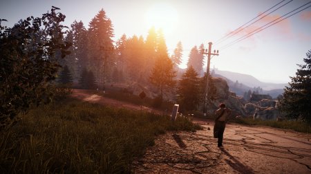 Rust [v 2210, Happy New Year!] (2018) PC | RePack  R.G. Alkad